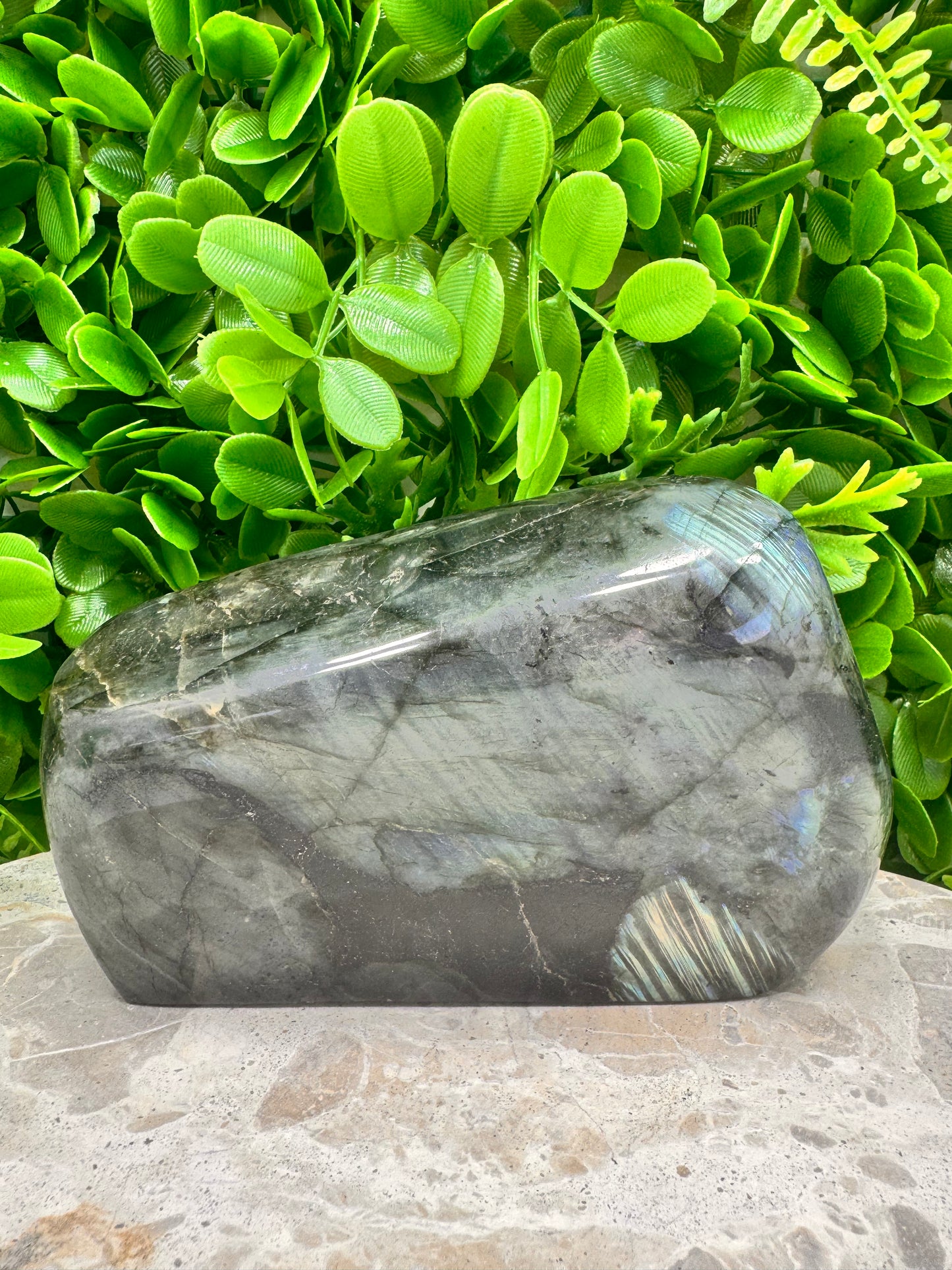 Labradorite Freeform 1446g