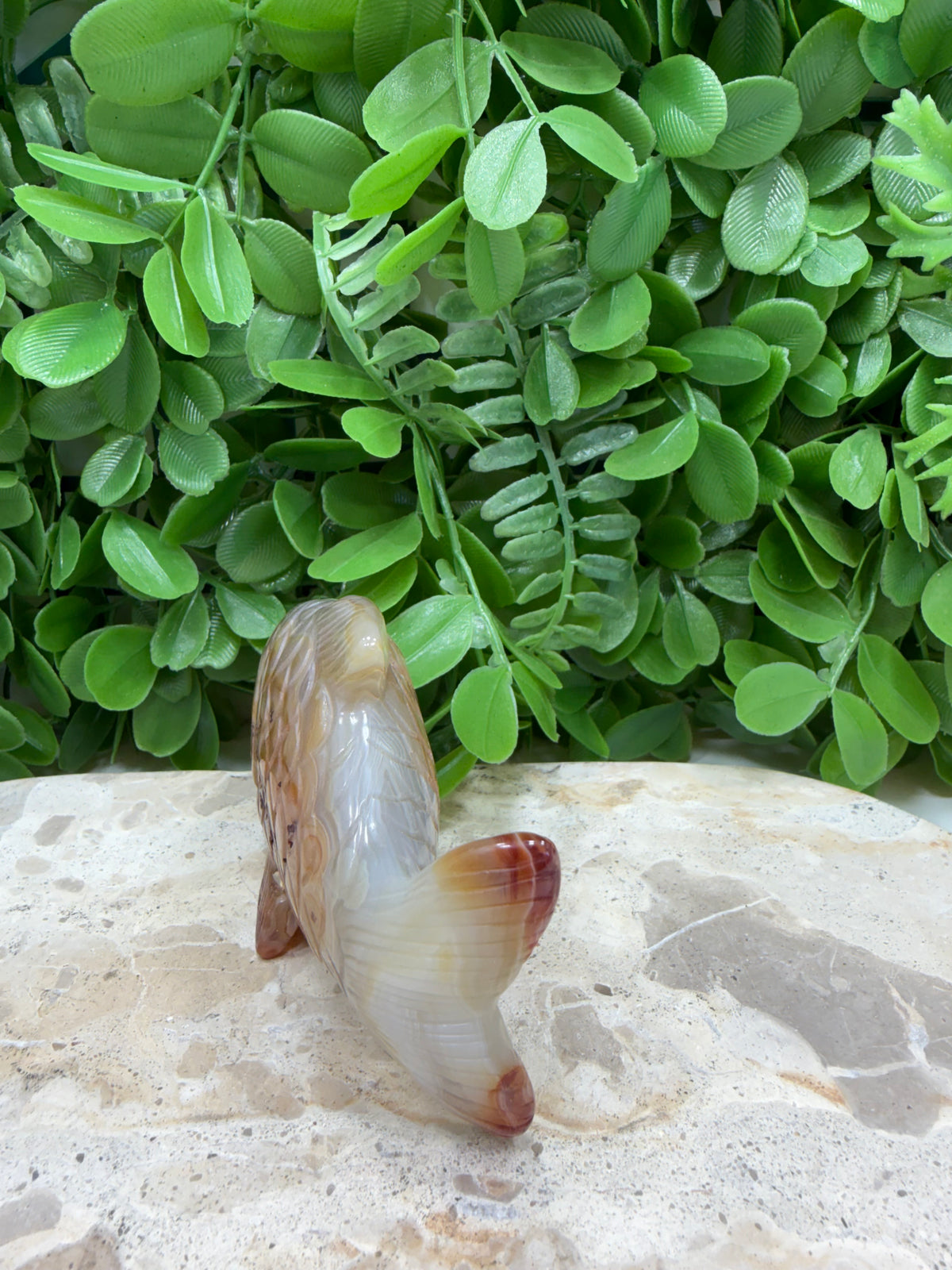 Carnelian Fish 198g | Motivation • Confidence • Creativity