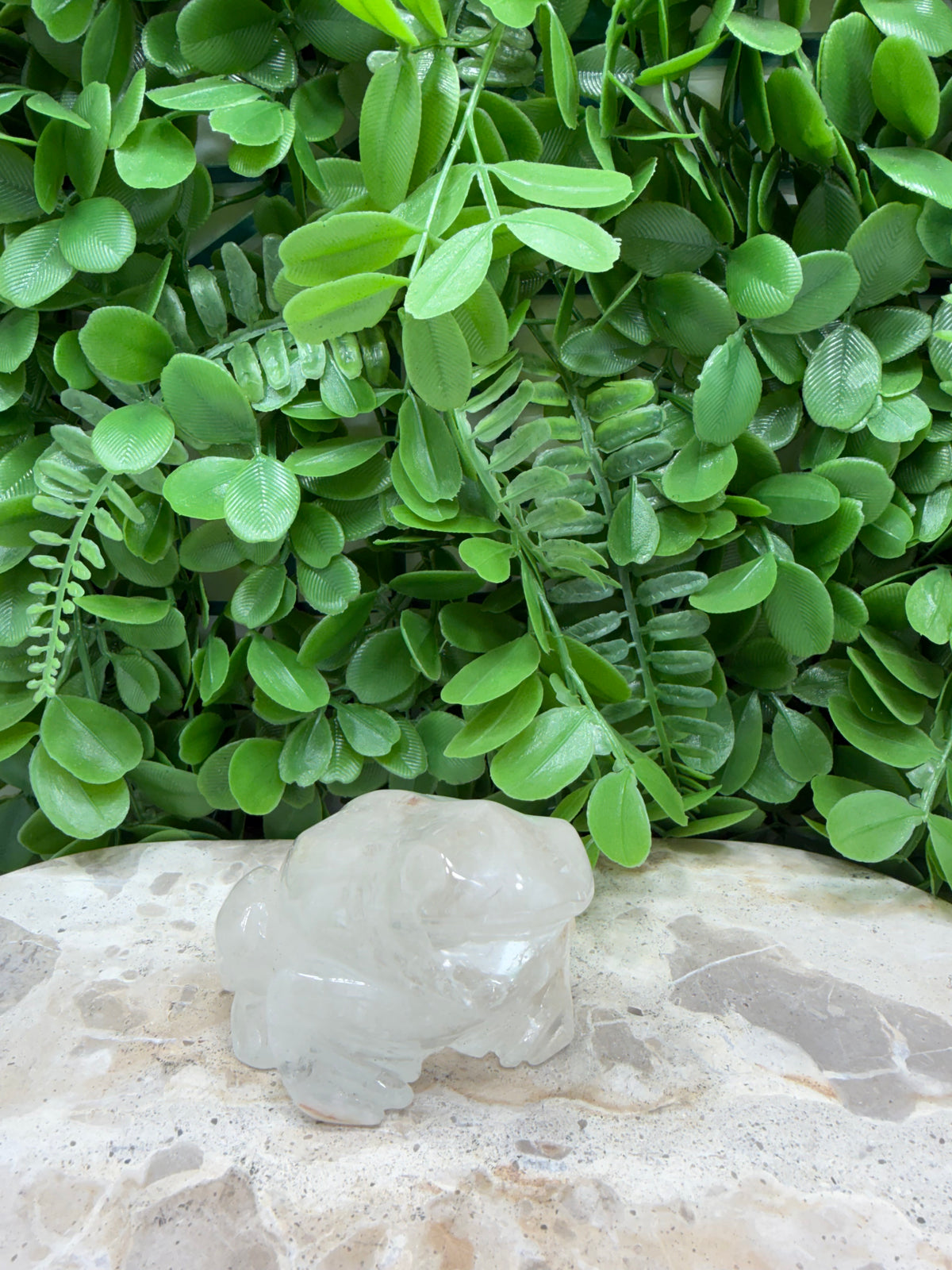 Clear Quartz Frog 308g