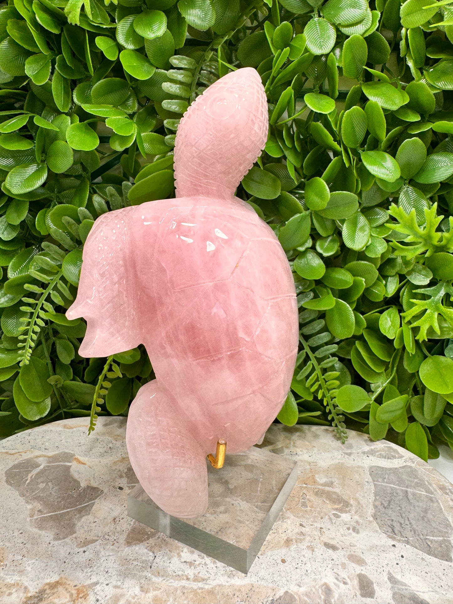 Rose Quartz Turtle 1016G