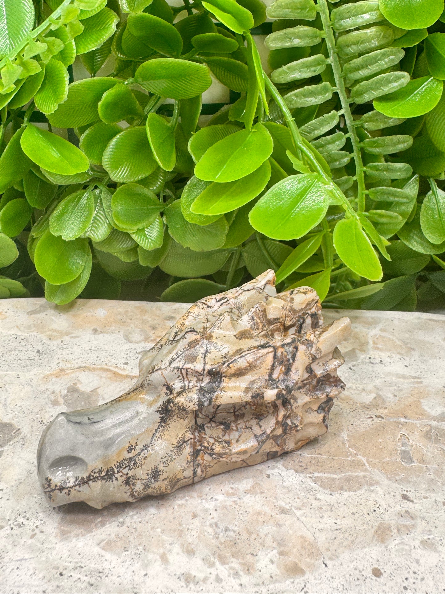 Picture Jasper Dragon Skull 118g