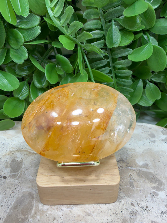 Golden Healer Palm Stone 106g