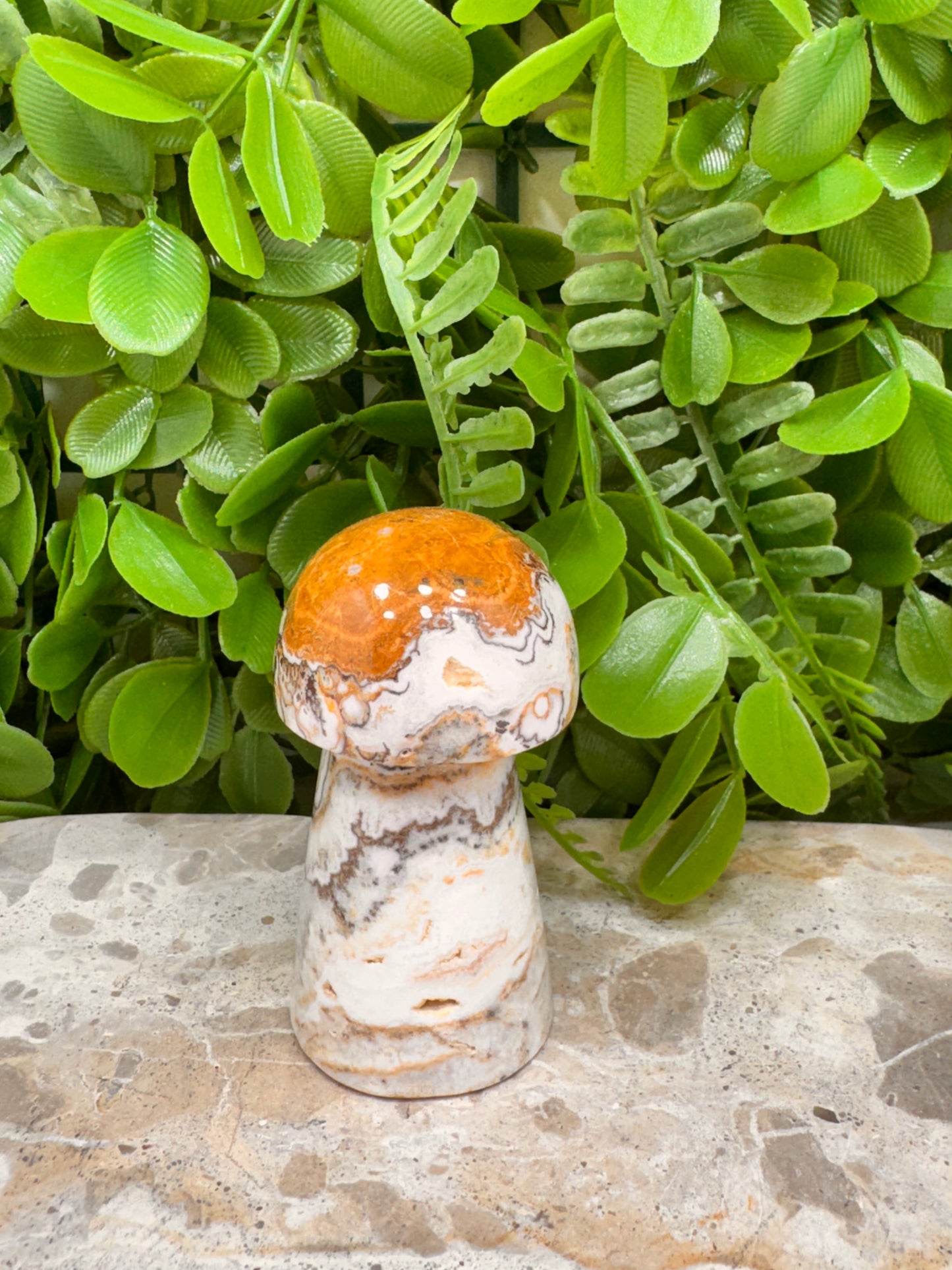 Dendritic Ocean Root Jasper mushroom 149g