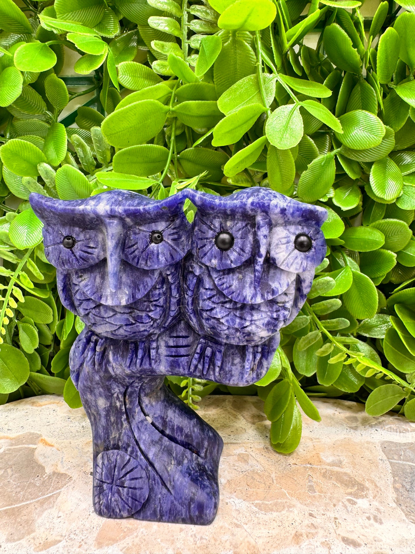 Twin Owl Sodalite 530g