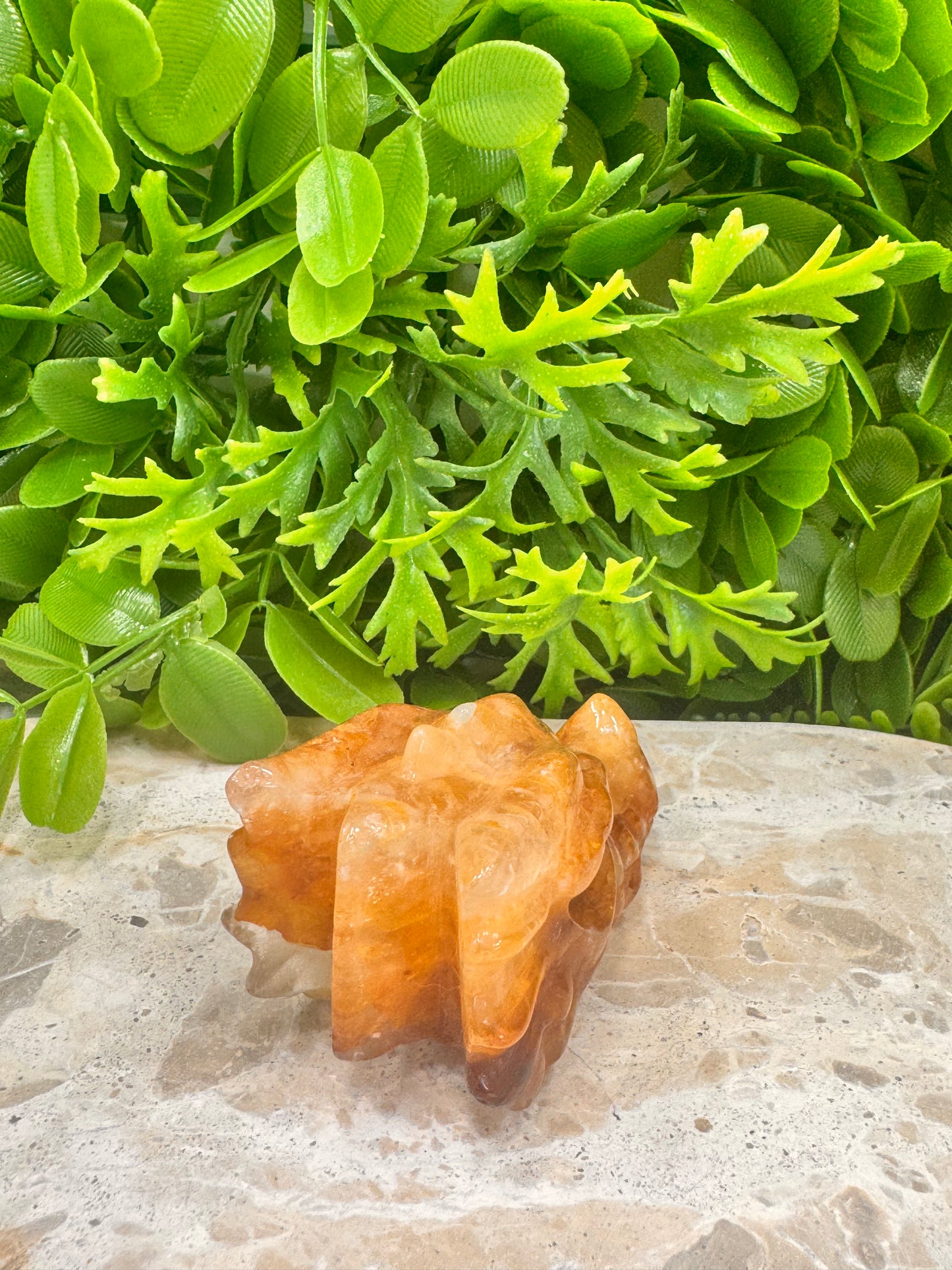 Golden Healer Dragon Skull 156g