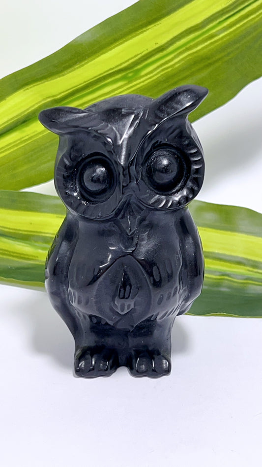 Obsidian Owl 324g