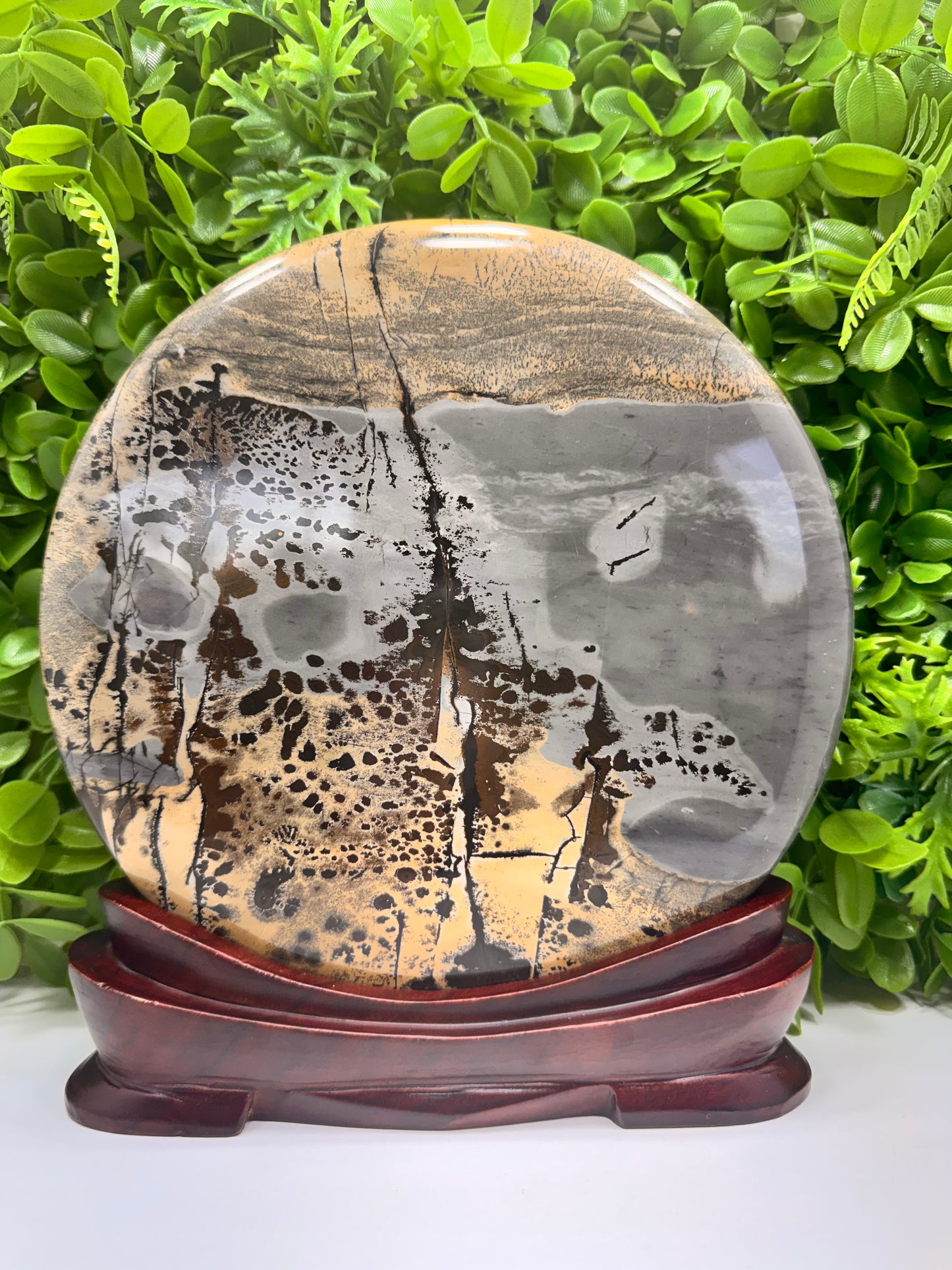 Picture Jasper in Frame 3452g