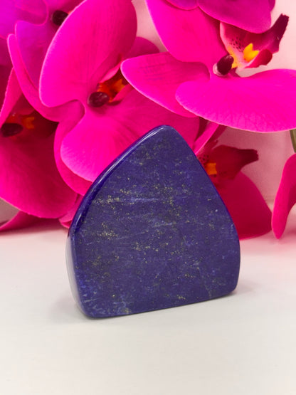 Lapis Lazuli Freeform 216g