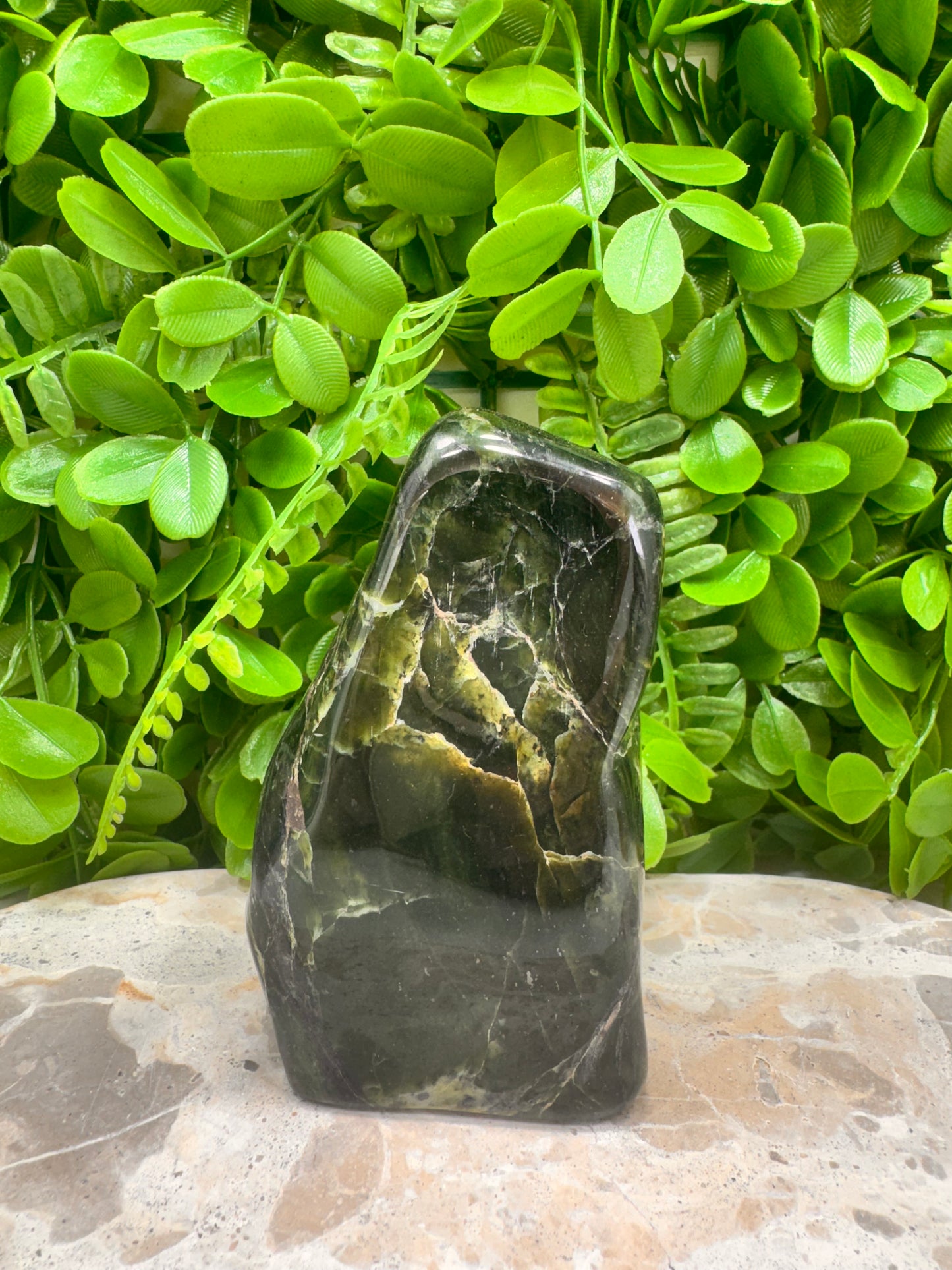 Nephrite Jade Freeform 644g