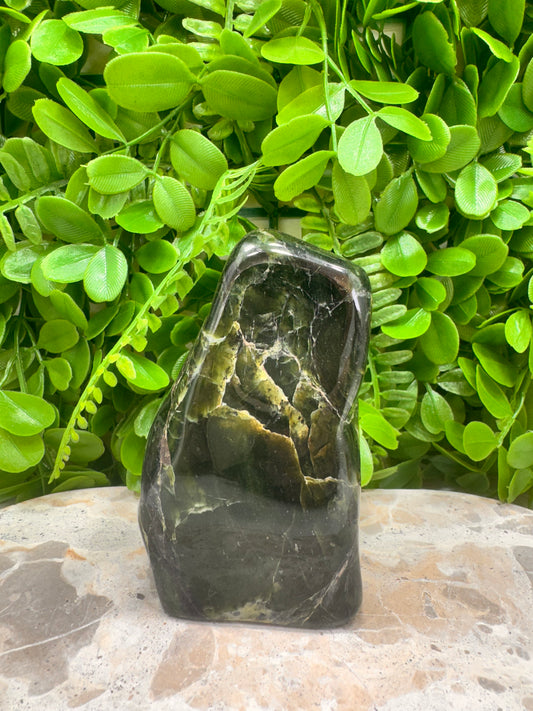 Nephrite Jade Freeform 644g