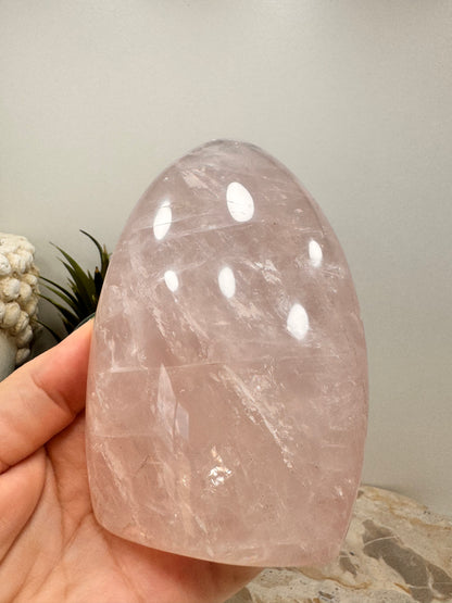 Rose Quartz Freeform 764g