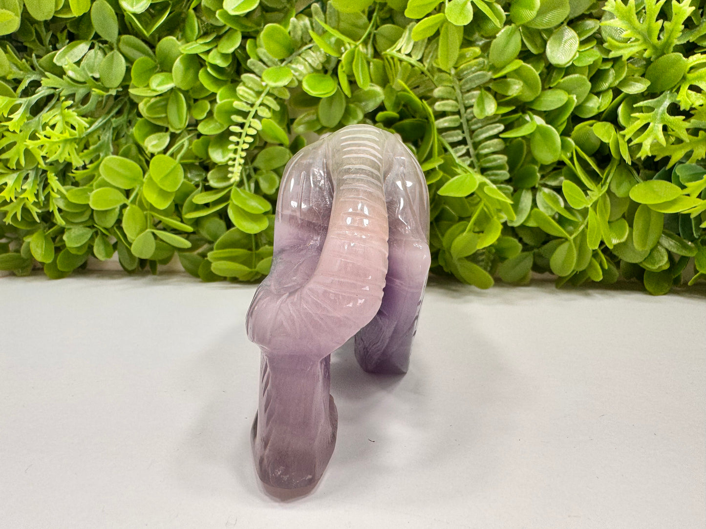 Fluorite Tiger 1498g