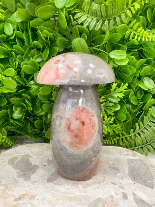 Ocean Jasper Mushroom 1.6kg
