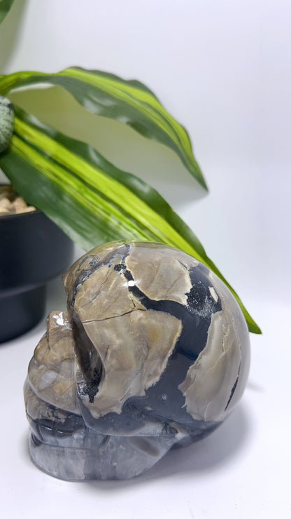 Volcanic Agate Skull 1156g