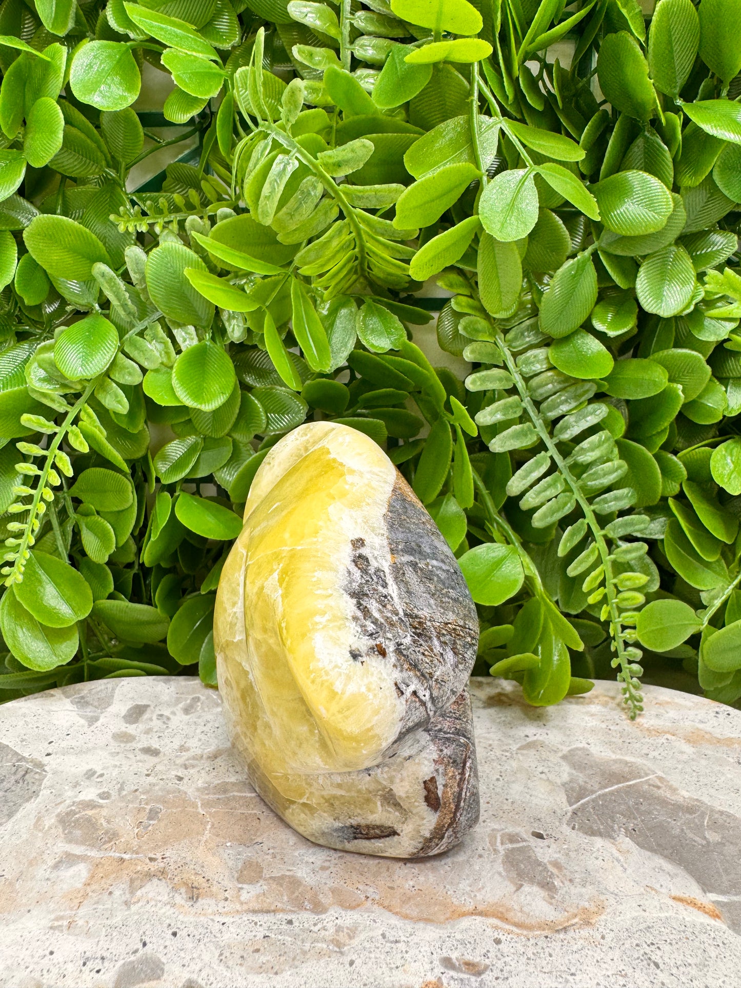 Brucite Freeform 504g