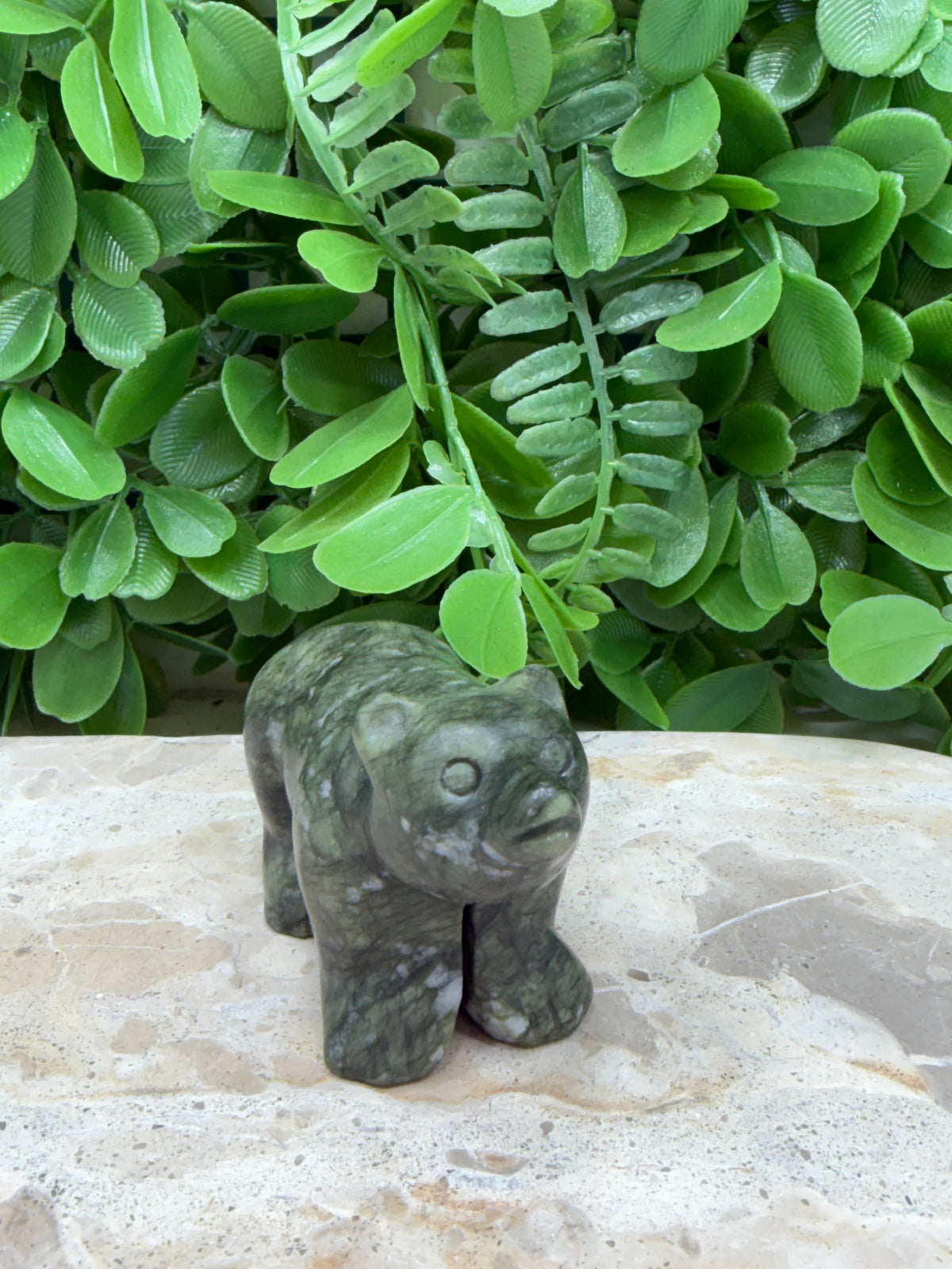 Serpentine Bear 168g | Healing • Transformation • Awakening