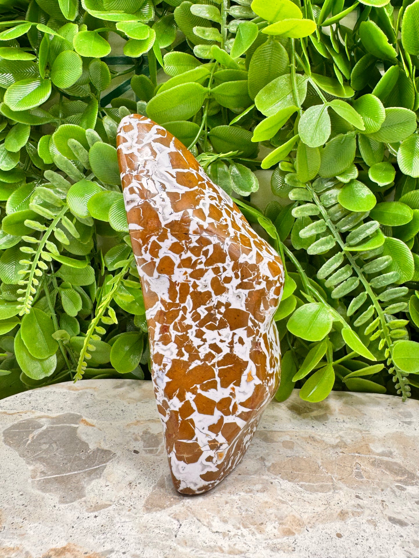 Jasper Agate Freeform 494g