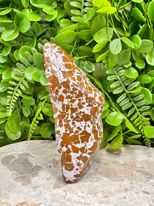 Jasper Agate Freeform 494g