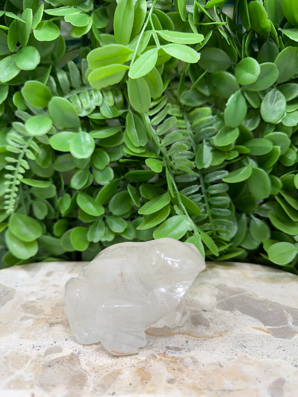Clear Quartz Frog 308g