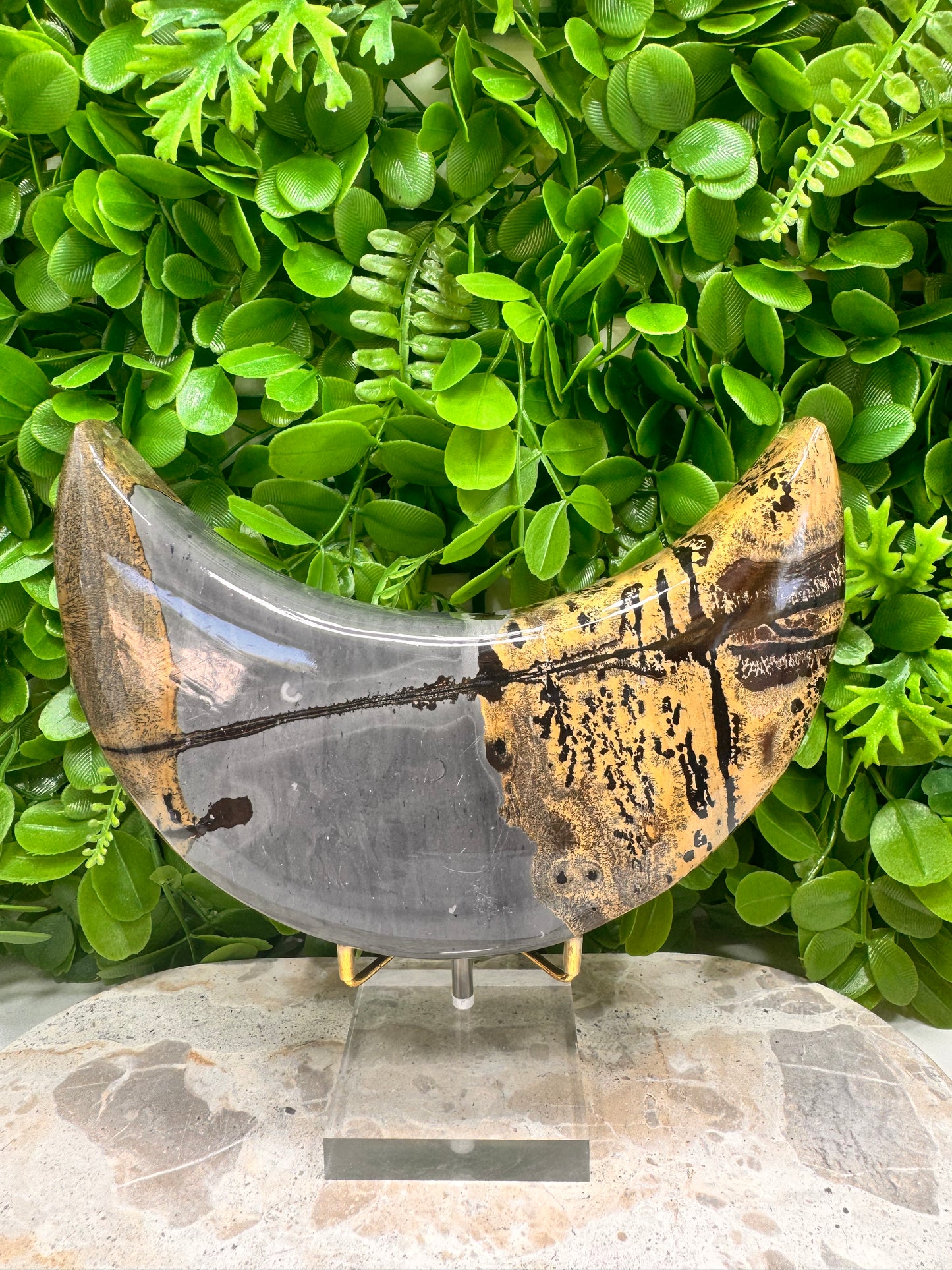 Picture Jasper Moon 1336g