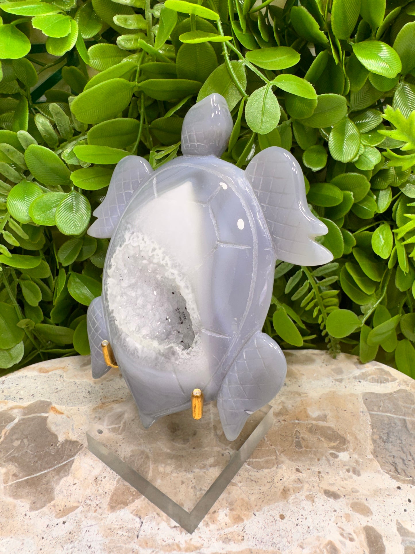 Druzy Agate Turtle 280g