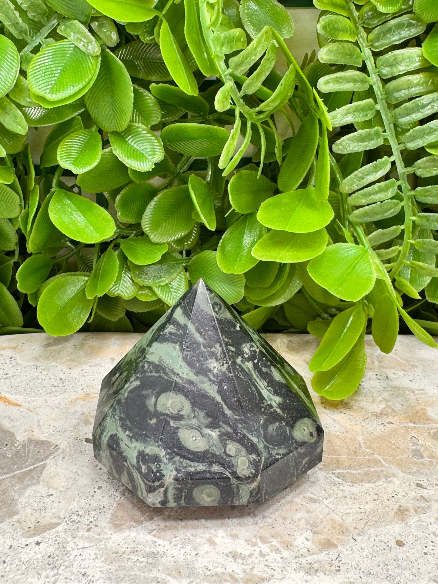 Kambaba Jasper  Diamond 190g