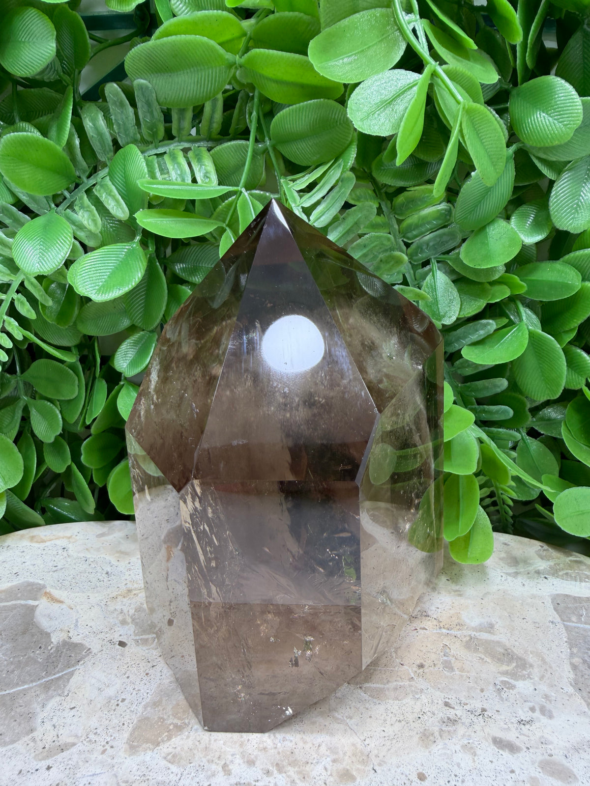 Smokey Quartz Freeform | Grounding • Protection • Calm