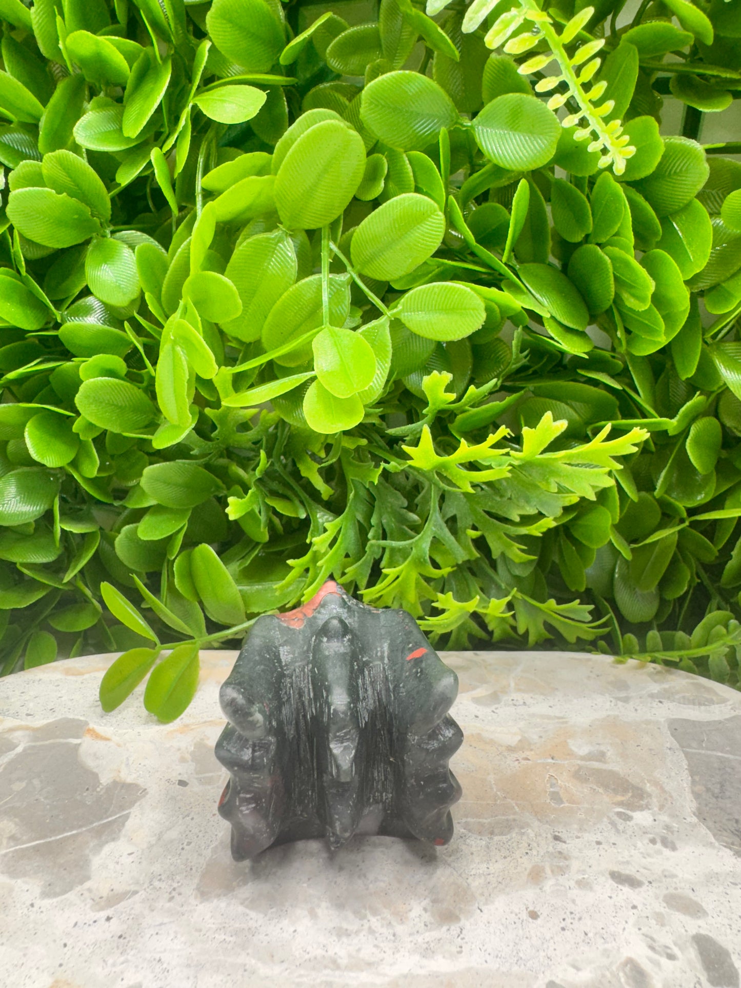 African Bloodstone Dragon Skull 278g