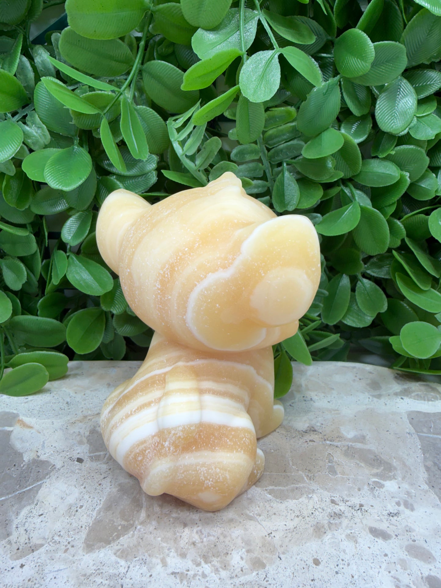 Orange Banded Calcite Lion Cub 574g