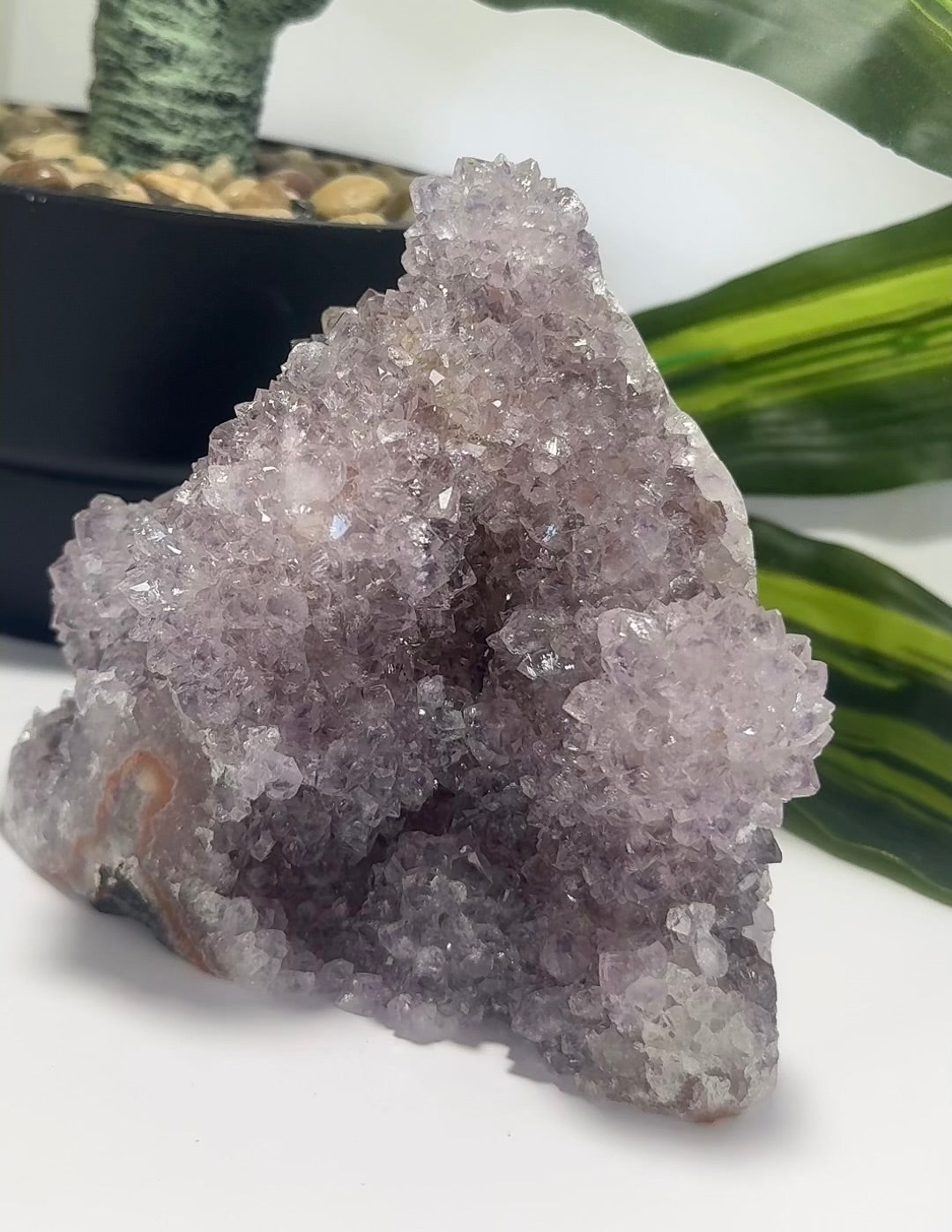 Amethyst Cluster Freeform 1.1kg
