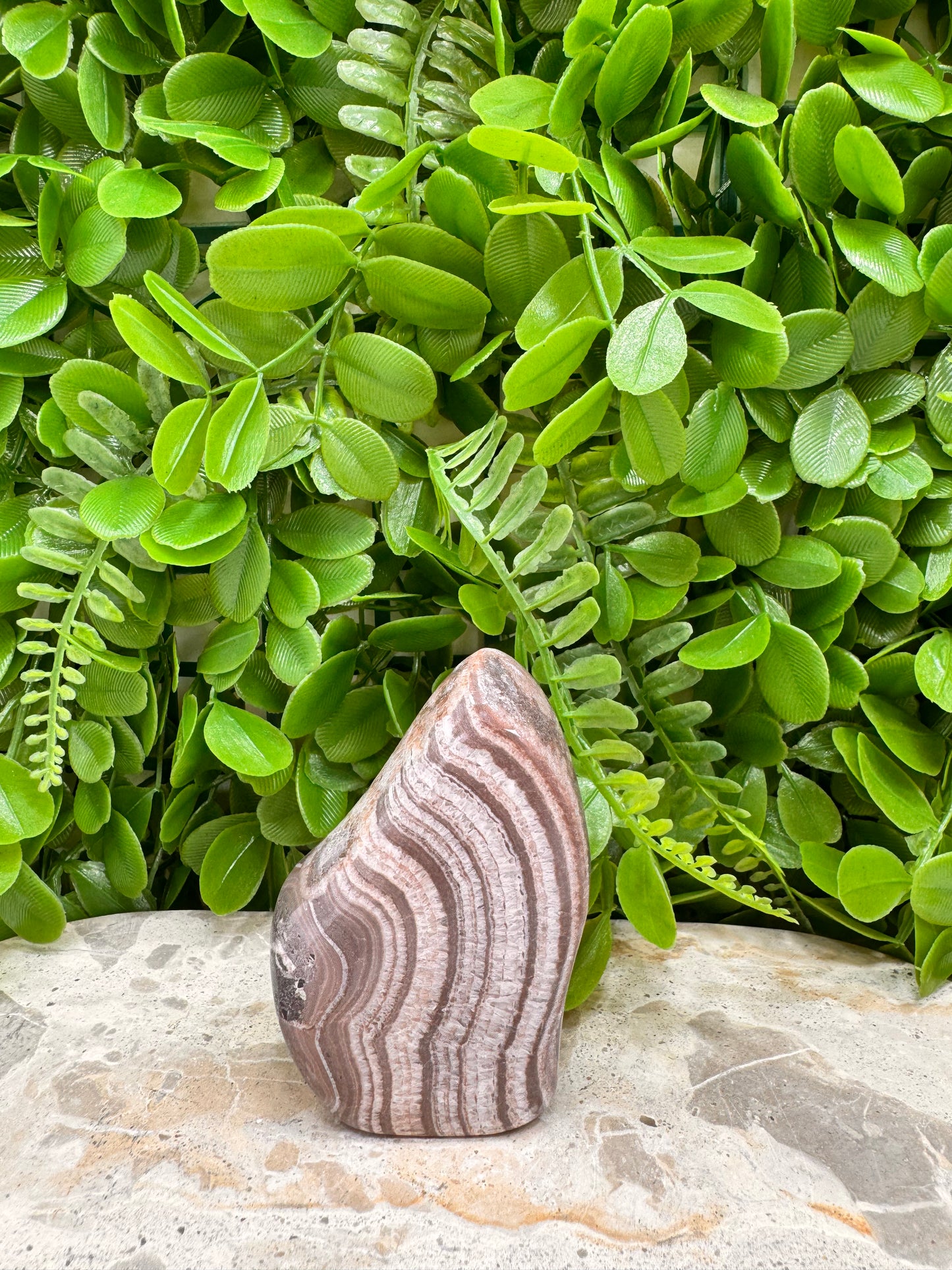 Chocolate Aragonite Freeform 204g
