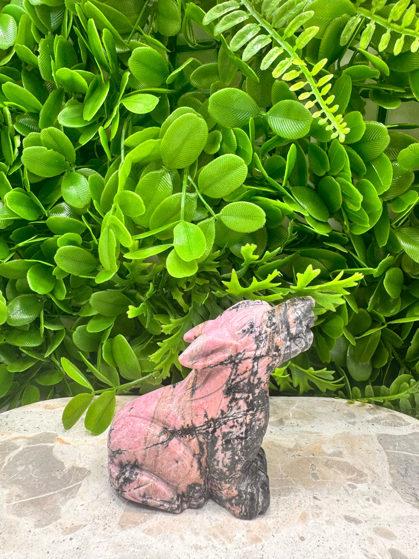 Rhodonite Wolf 358g