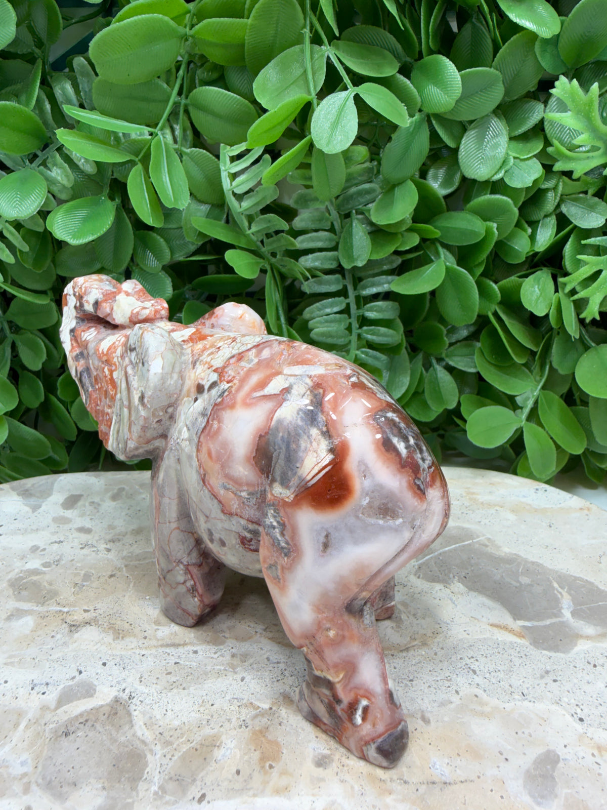 Money Agate Elephant 502g | Intuition • Communication • Clarity