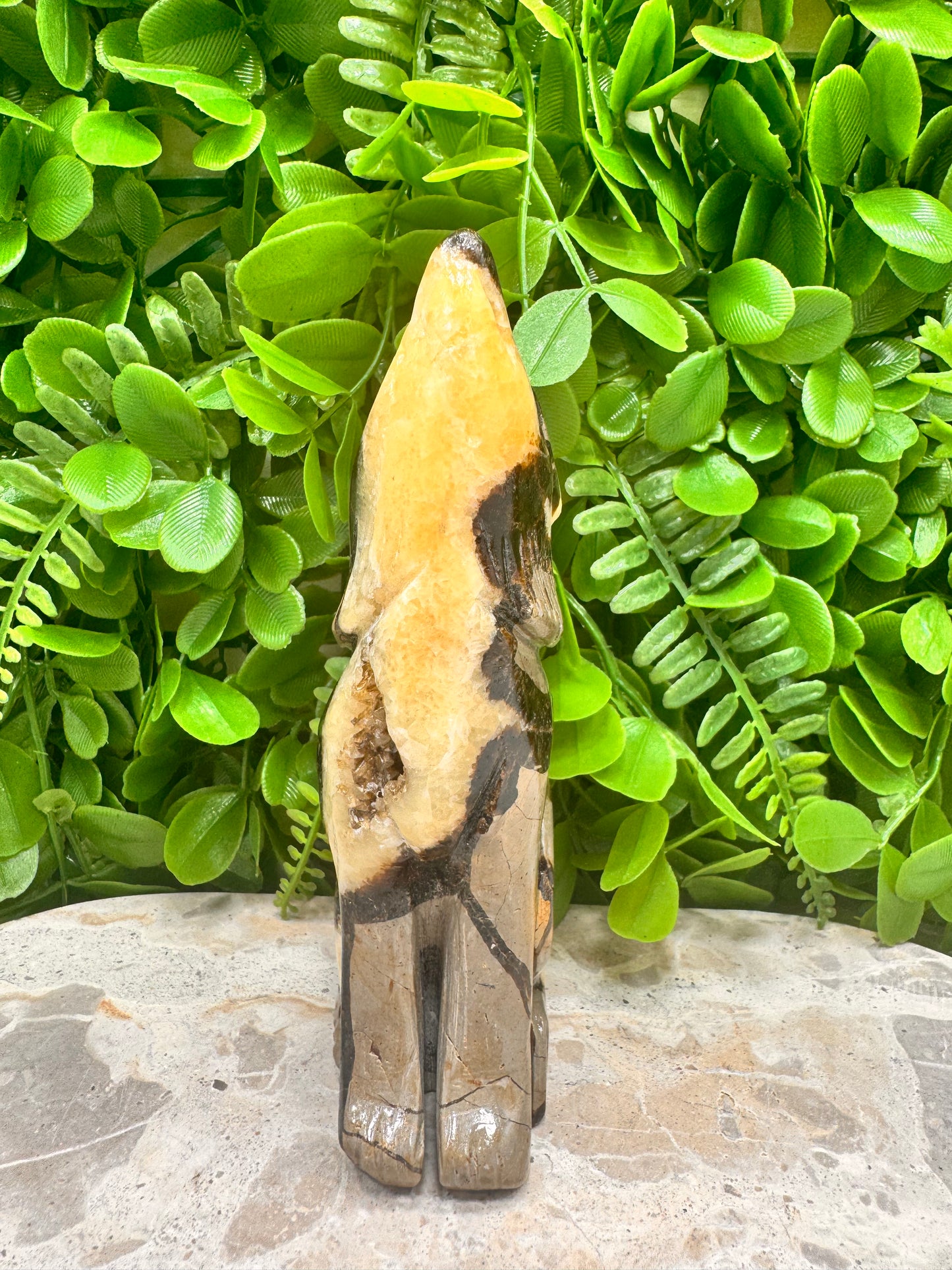 Septarian Dragon Stone 579g
