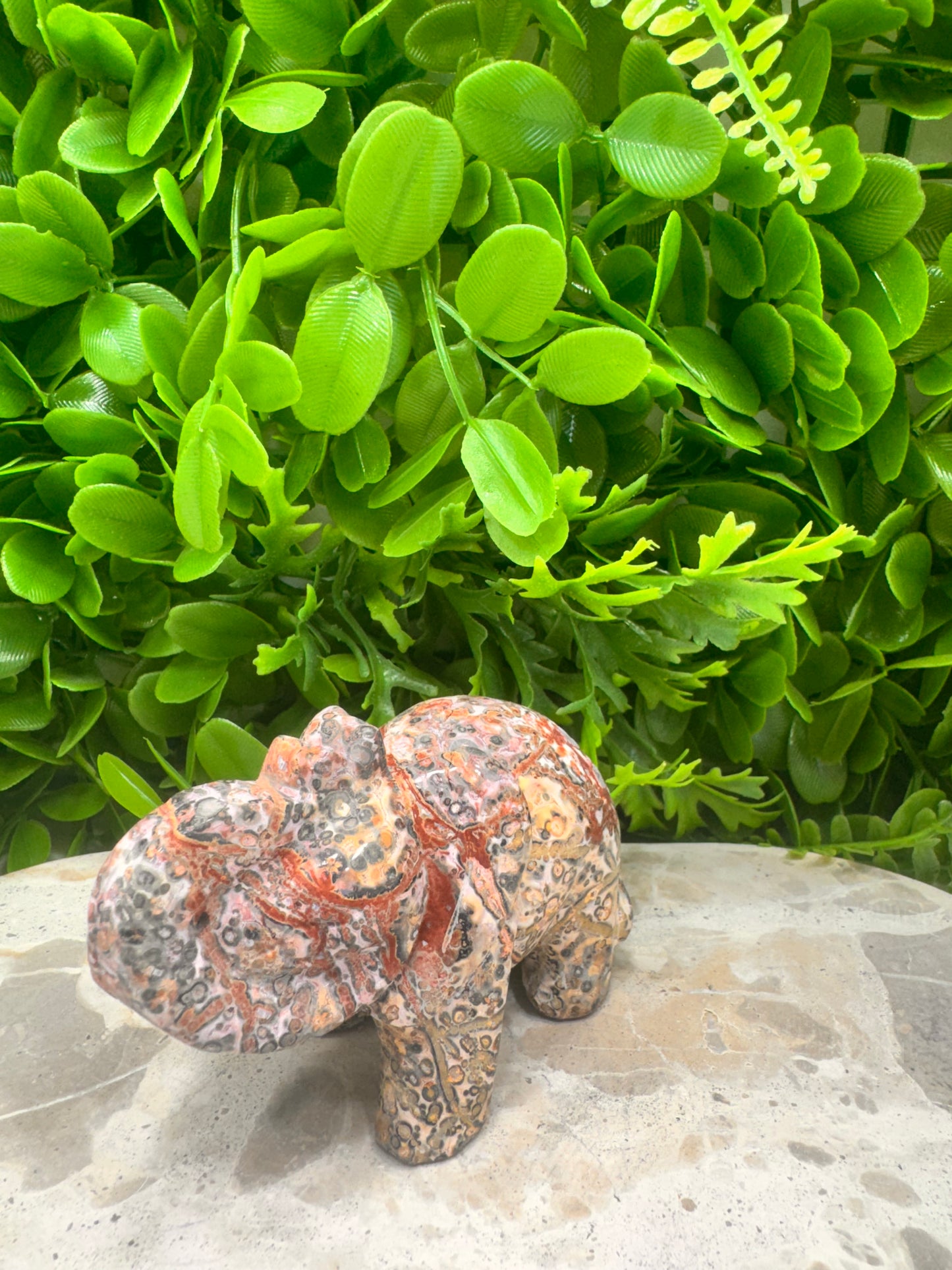 Red Leopard Skin Jasper Elephant 326g