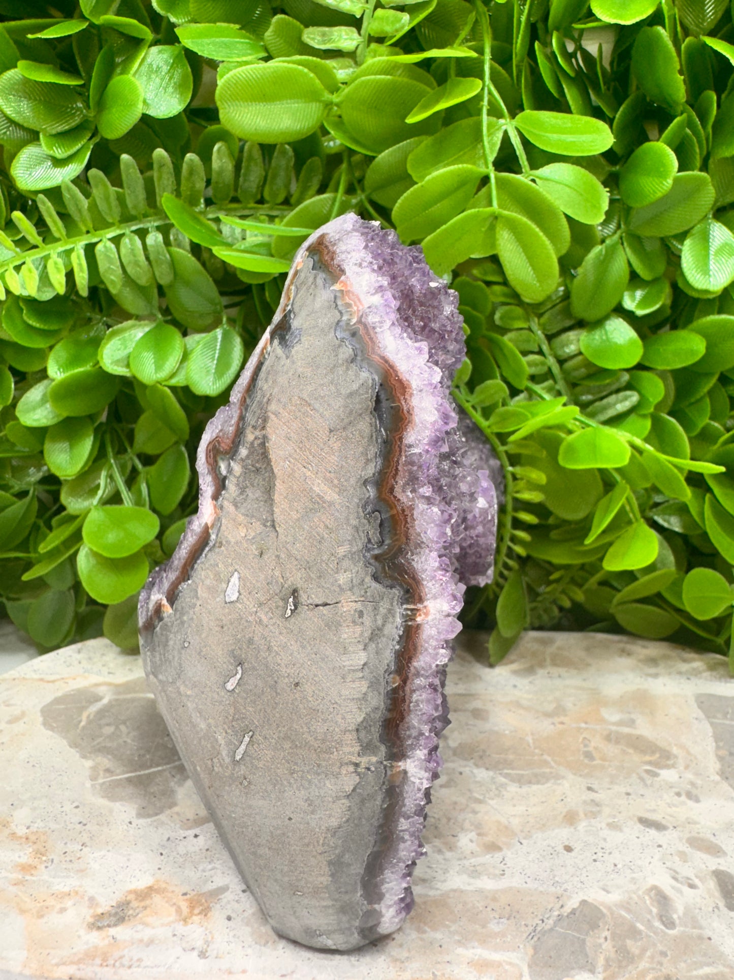 Amethyst Freeform Cluster 1.2kg