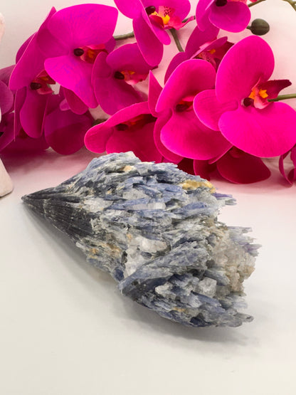 Kyanite Raw 834g