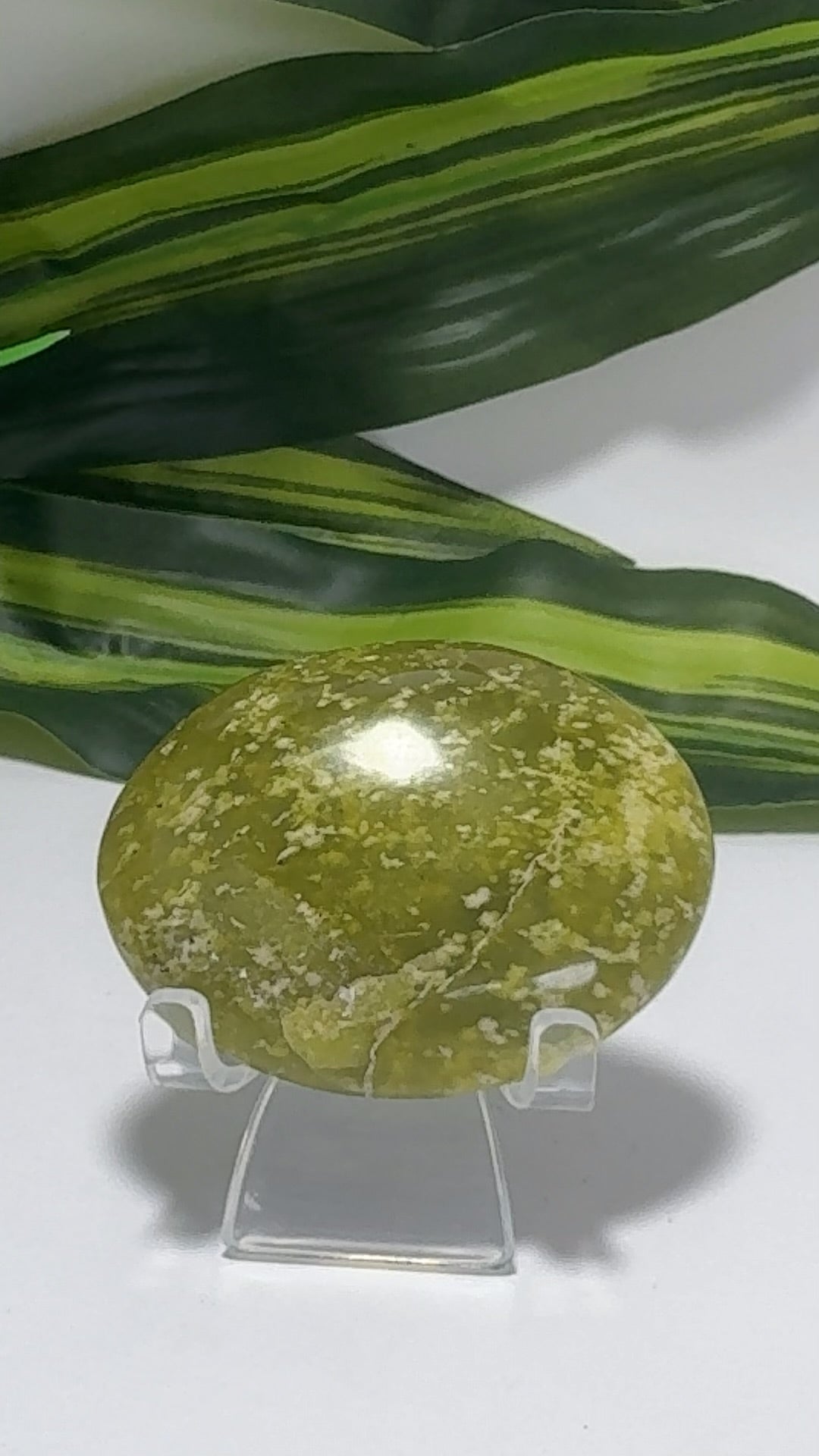 Dotted Serpentine Palm Stone 90g