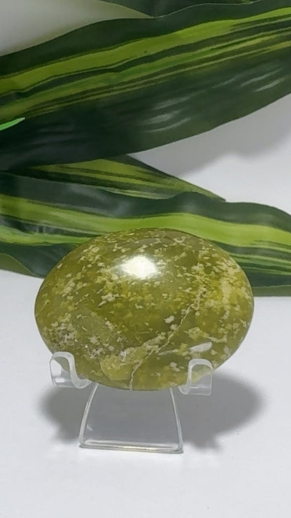 Dotted Serpentine Palm Stone 90g