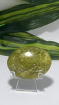 Dotted Serpentine Palm Stone 90g
