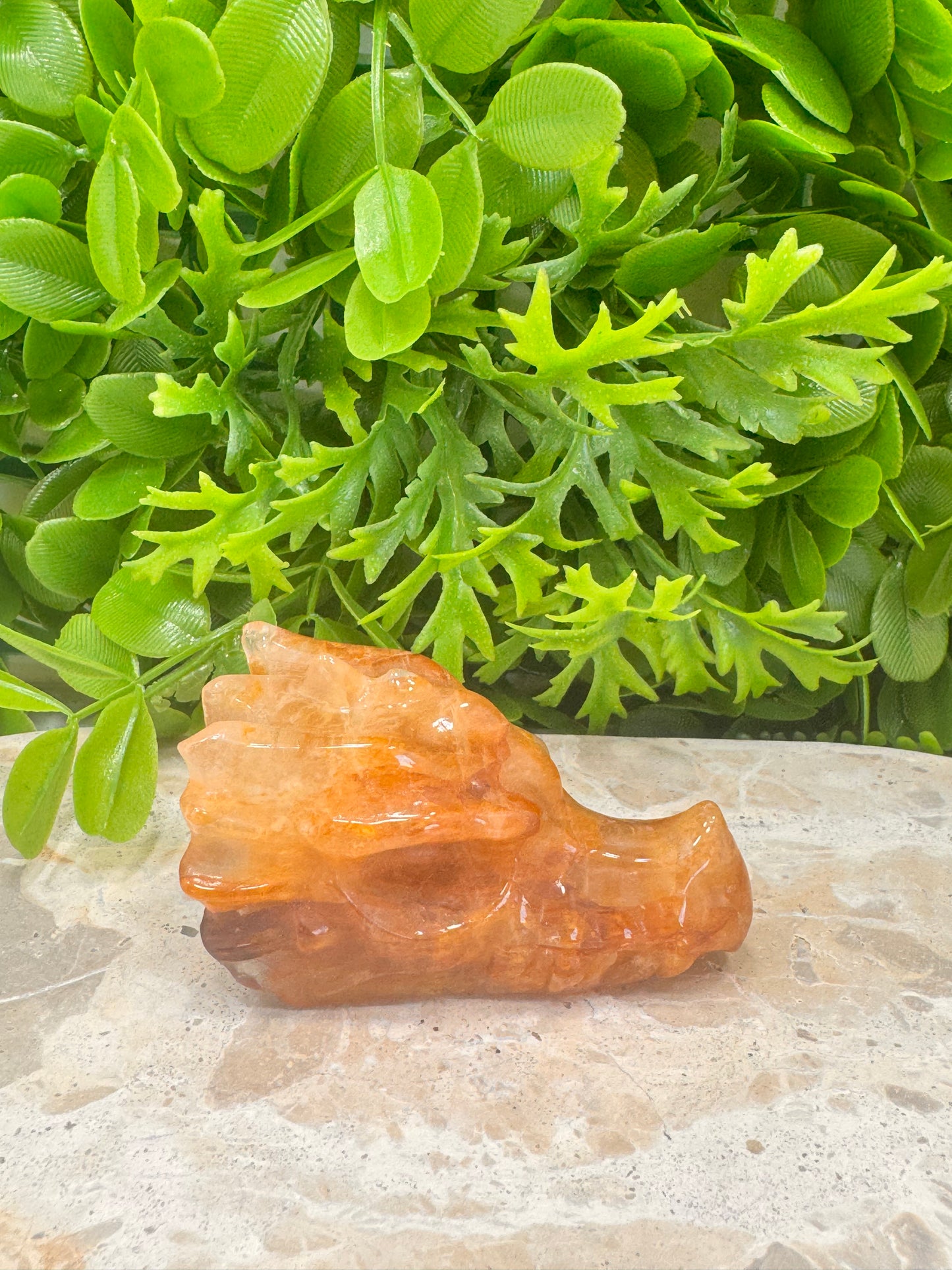 Golden Healer Dragon Skull 156g
