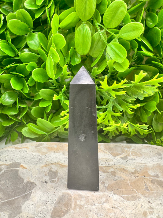 Shungite Pt 116g