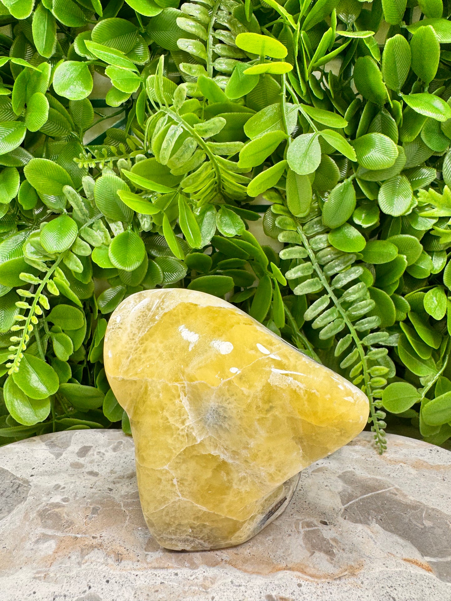 Brucite Freeform 504g
