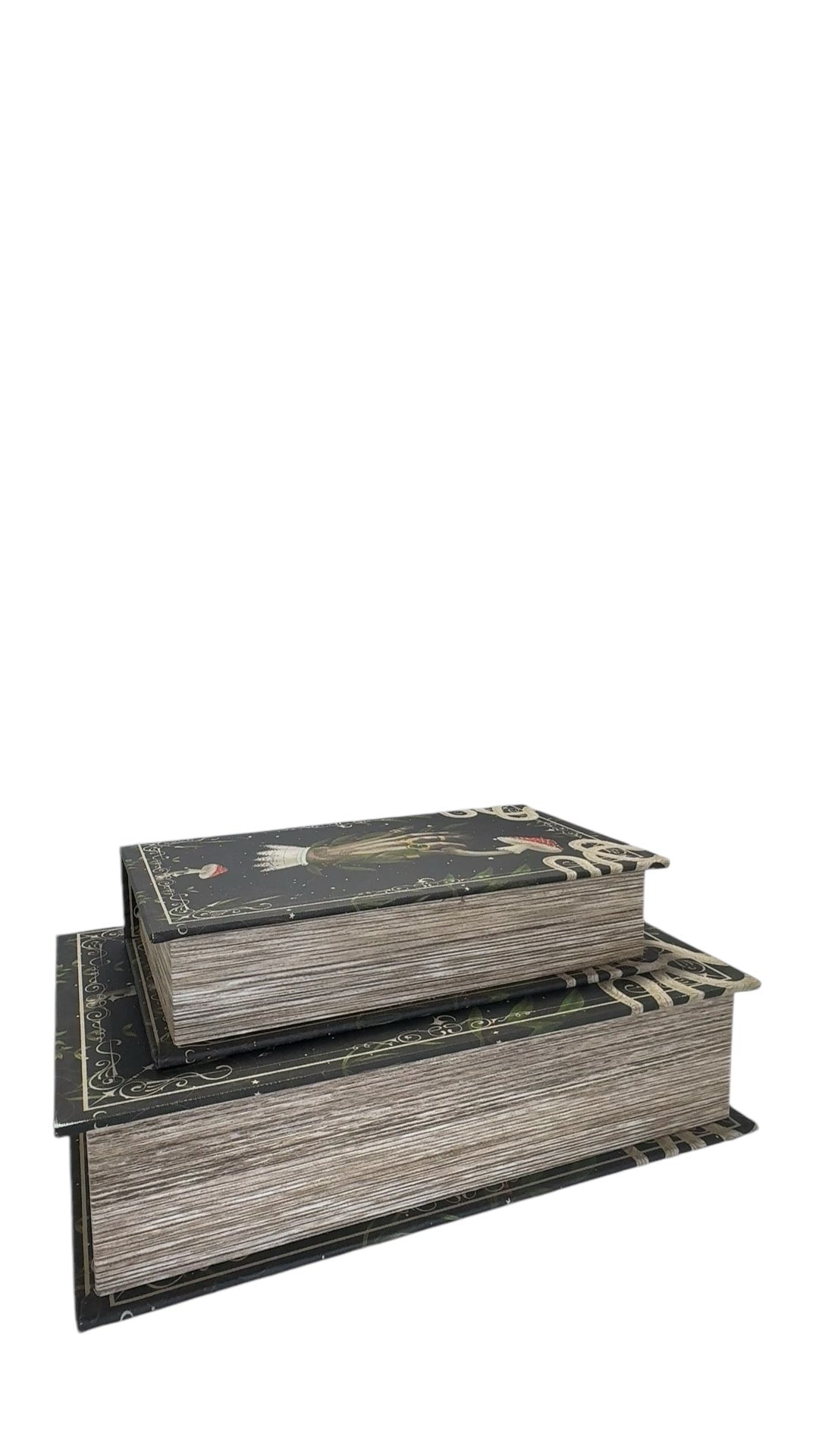 Set of 2 Book Boxes with Hand Design