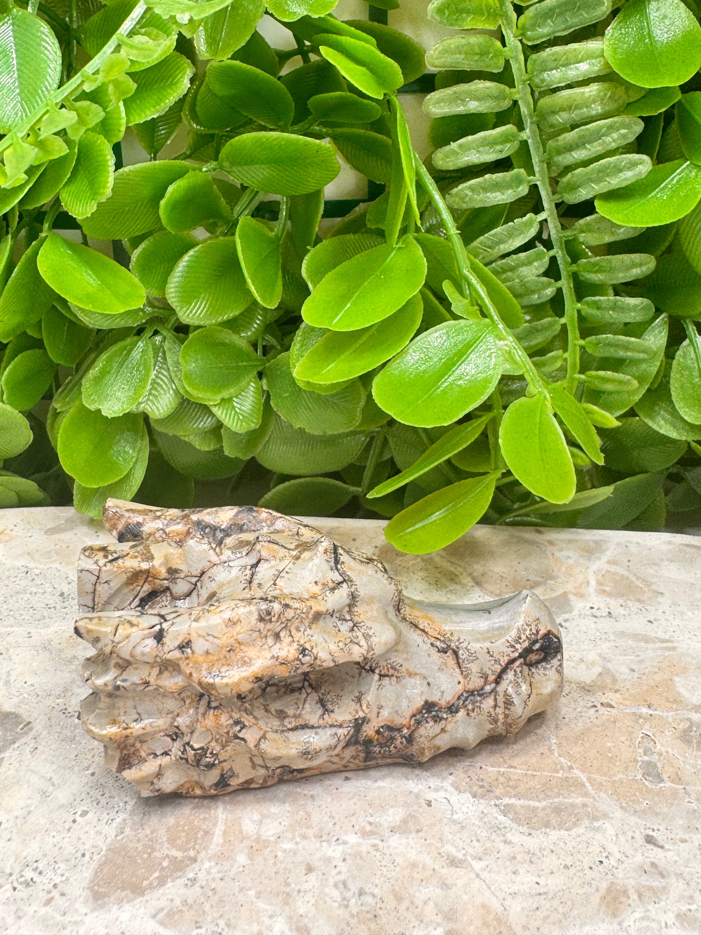 Picture Jasper Dragon Skull 118g