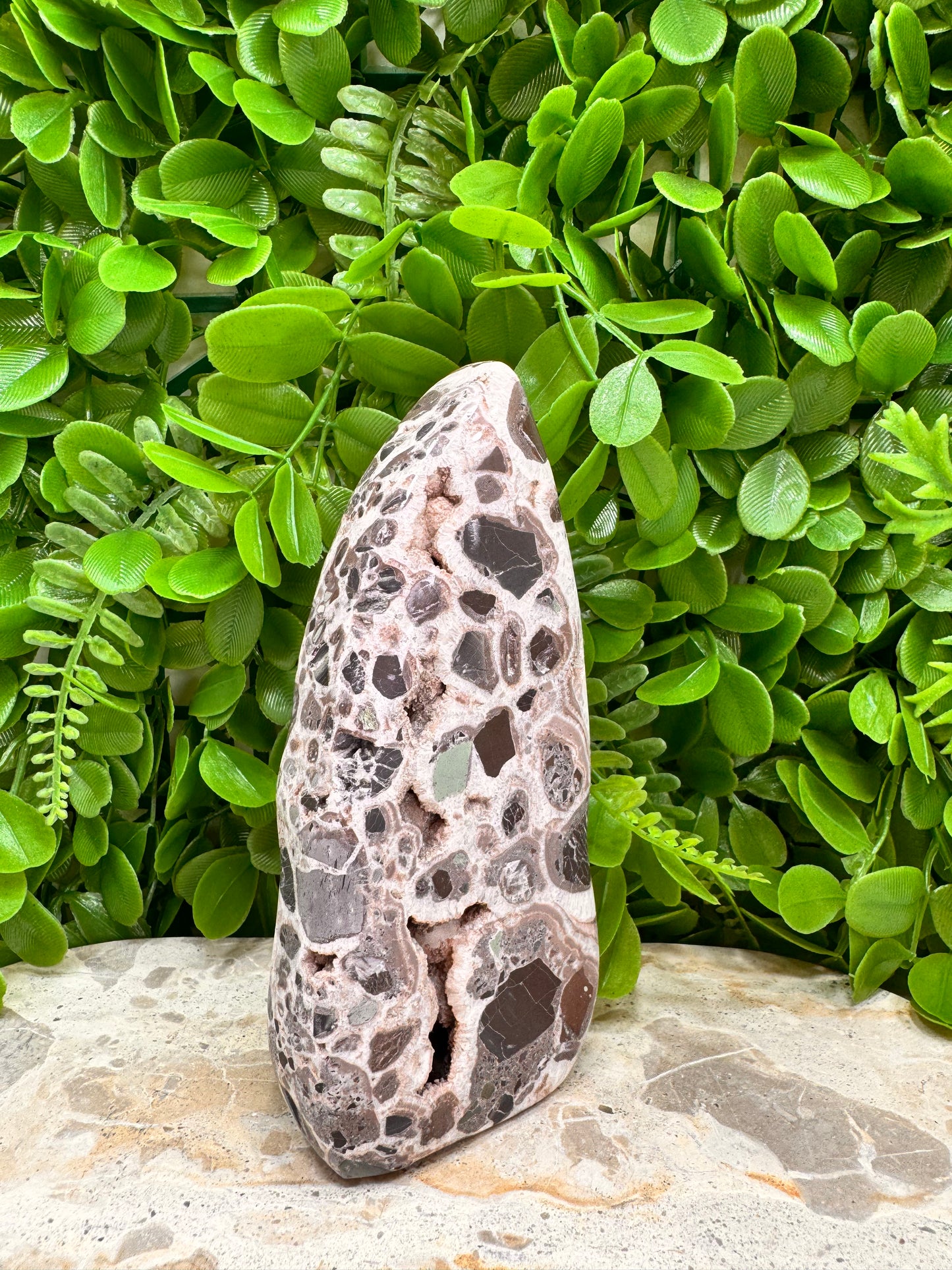 Chocolate Aragonite Freeform 508g