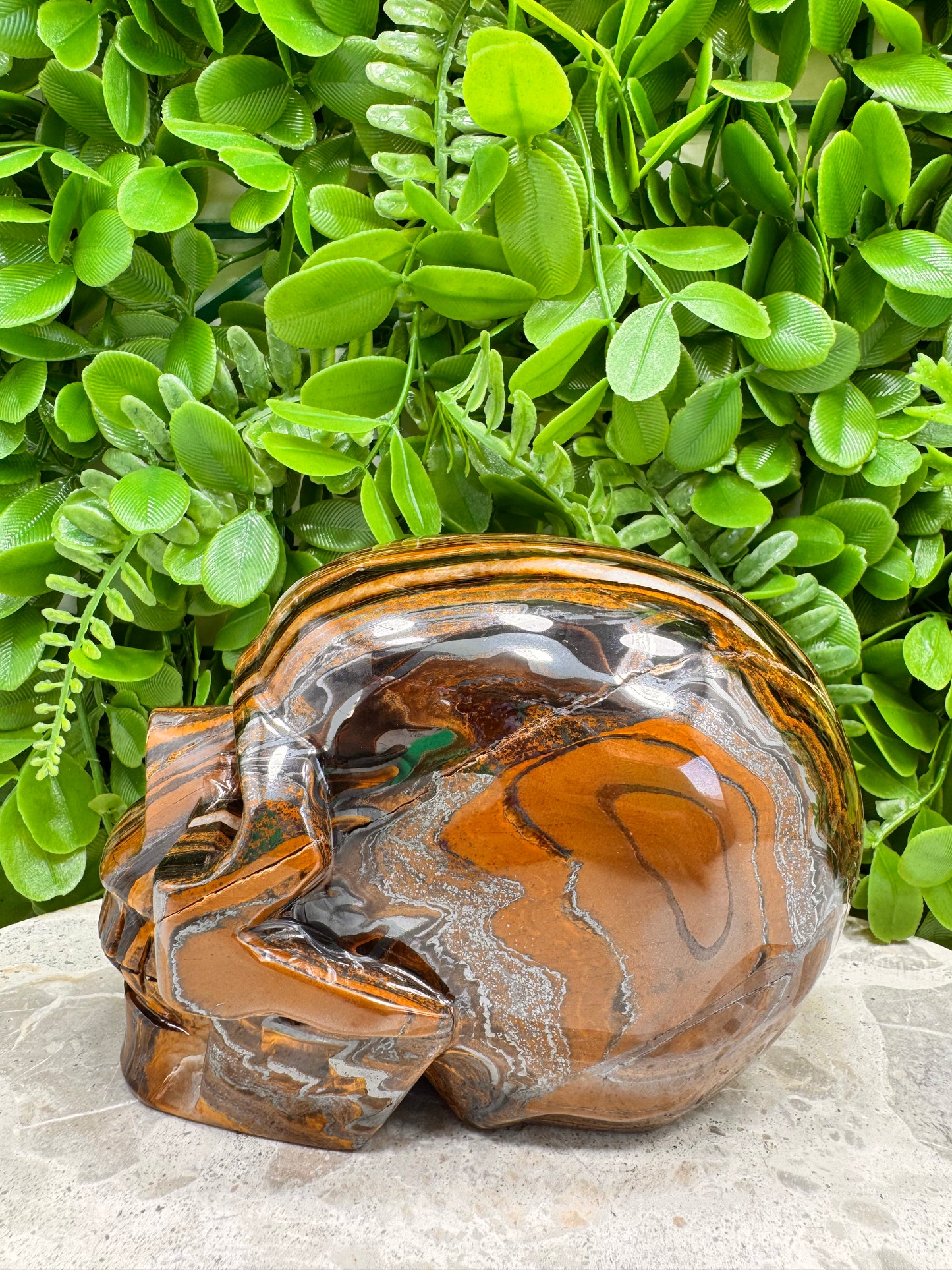 Tiger Ore Skull 2134g
