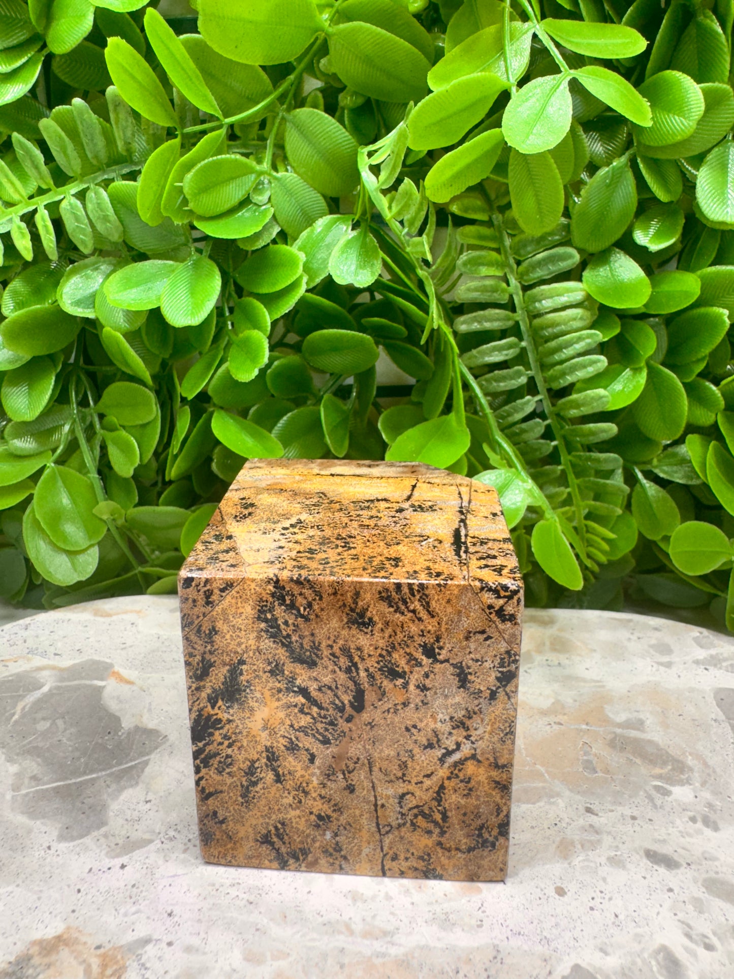 Picture Jasper Cube 546g