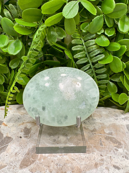 Aqua Caribbean Calcite Palm 148g