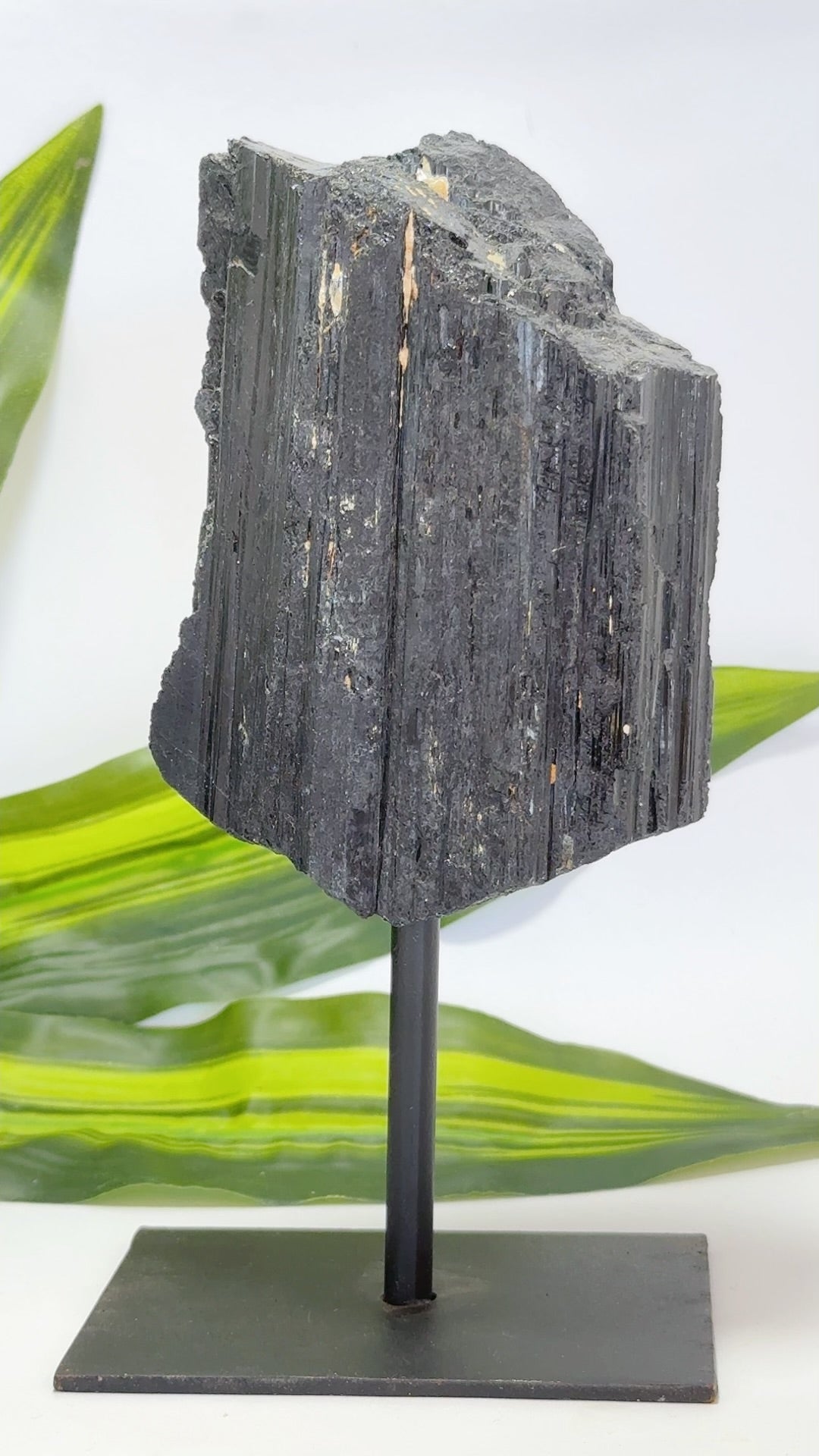 Tourmaline on Stand 1114g